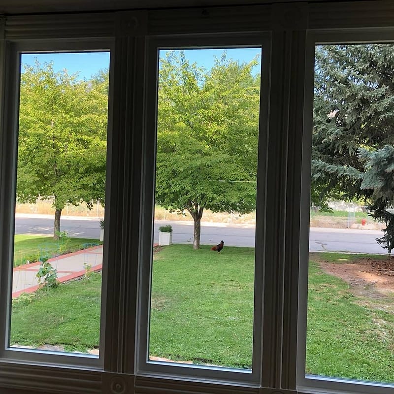 Sliding Glass Doors Installation, Repair & Replacements Available